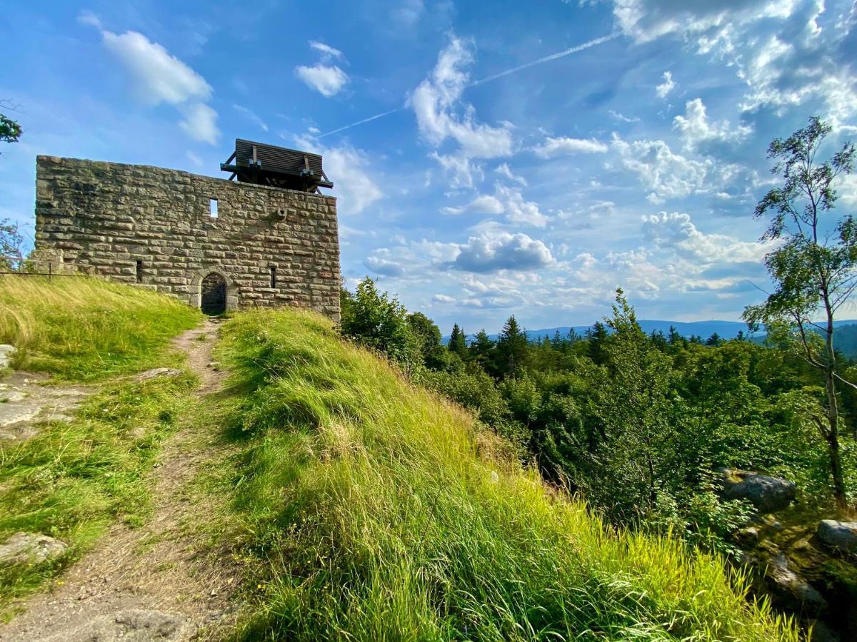 Ferienwohnung Oxana Im Naturpark Fichtelgebirge Schonwald  المظهر الخارجي الصورة