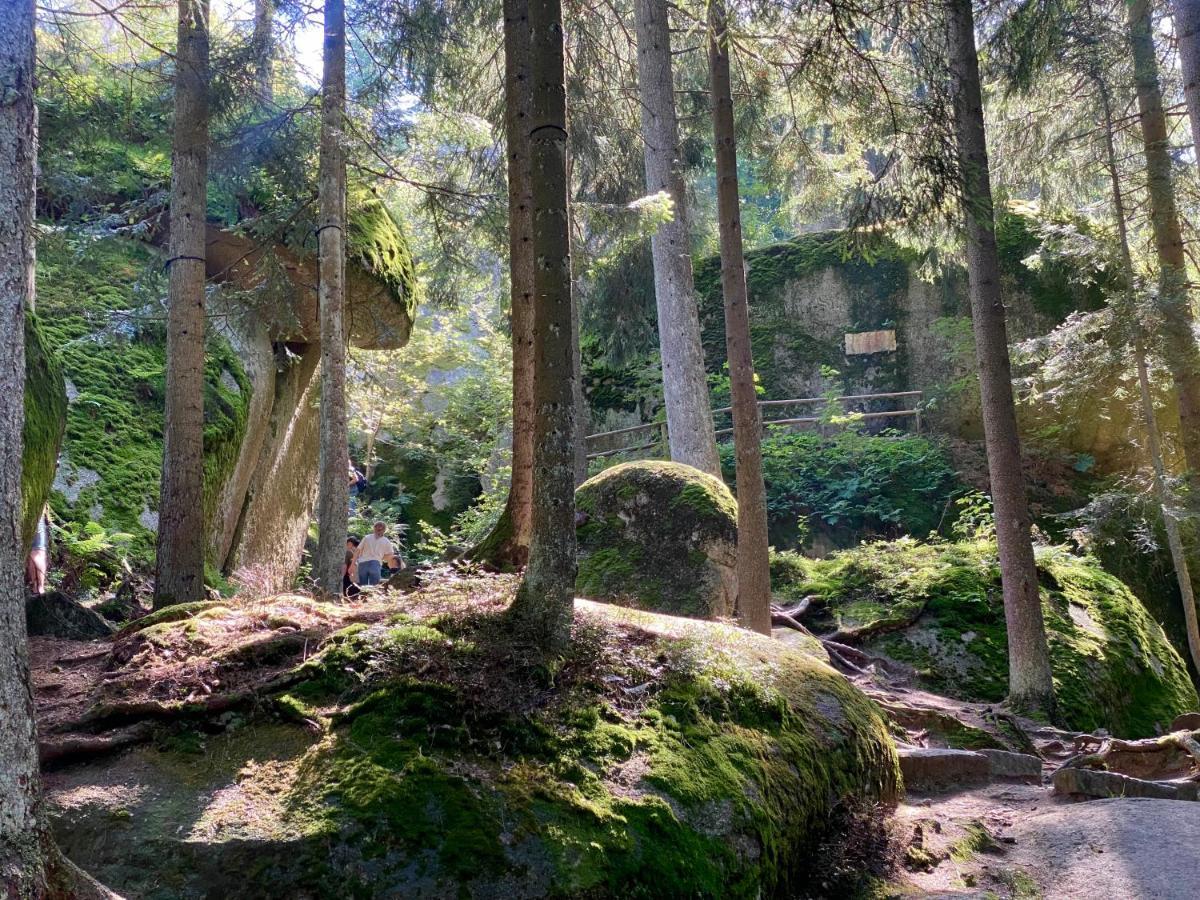Ferienwohnung Oxana Im Naturpark Fichtelgebirge Schonwald  المظهر الخارجي الصورة