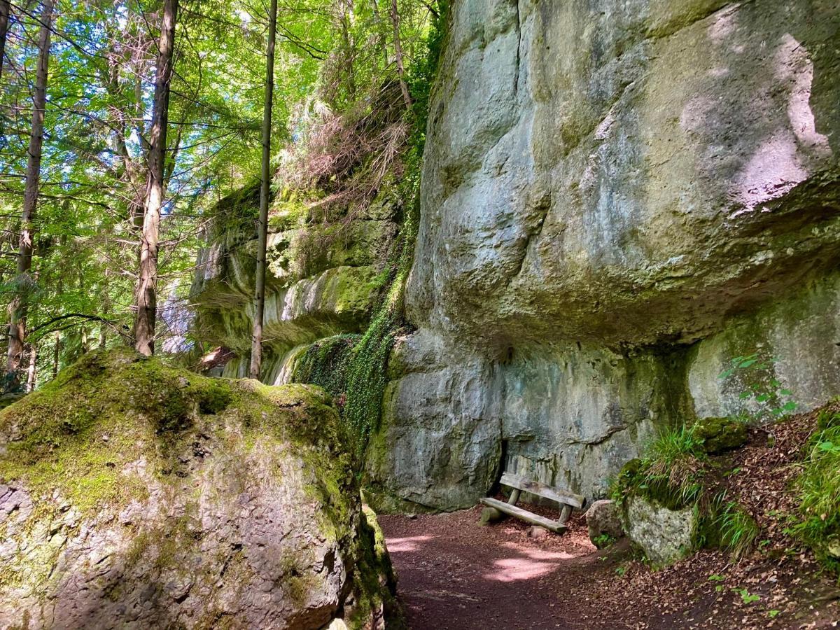 Ferienwohnung Oxana Im Naturpark Fichtelgebirge Schonwald  المظهر الخارجي الصورة