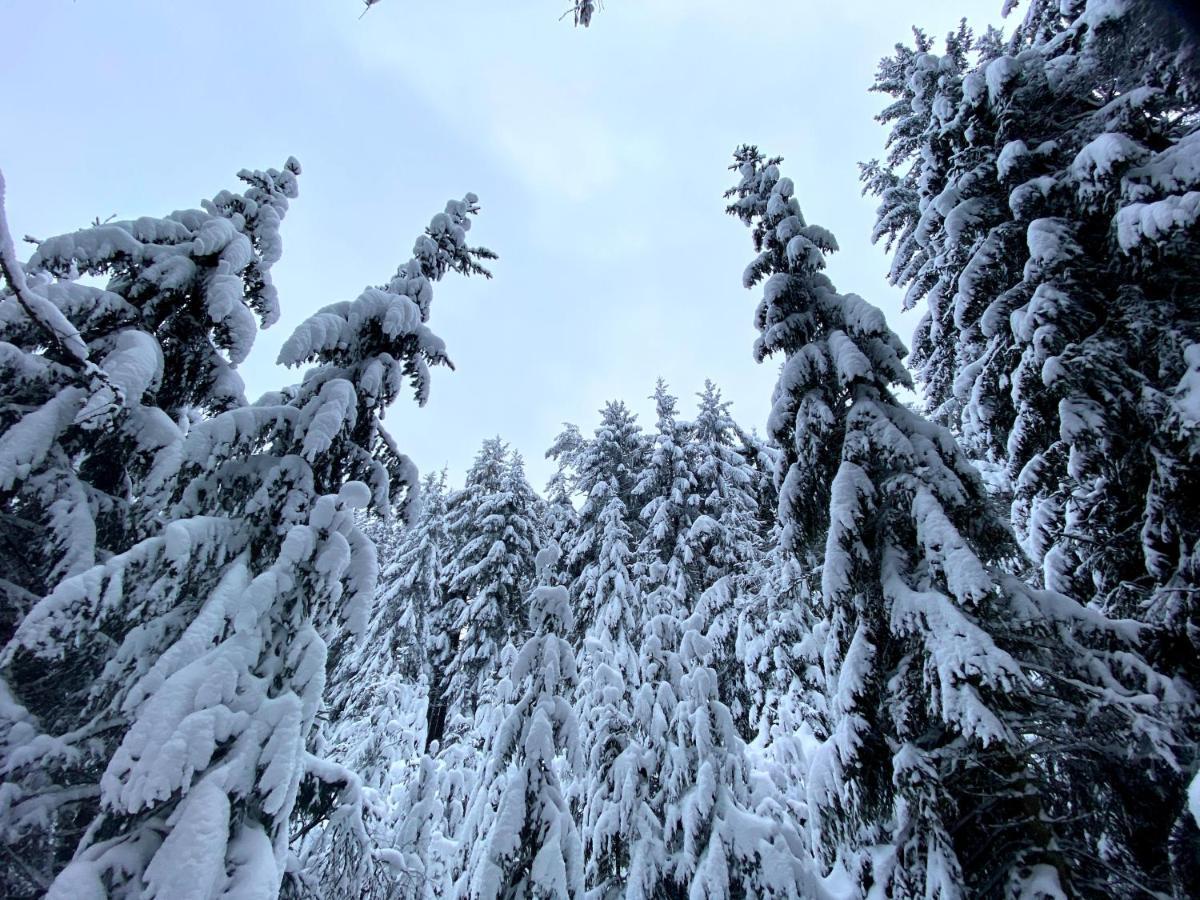 Ferienwohnung Oxana Im Naturpark Fichtelgebirge Schonwald  المظهر الخارجي الصورة