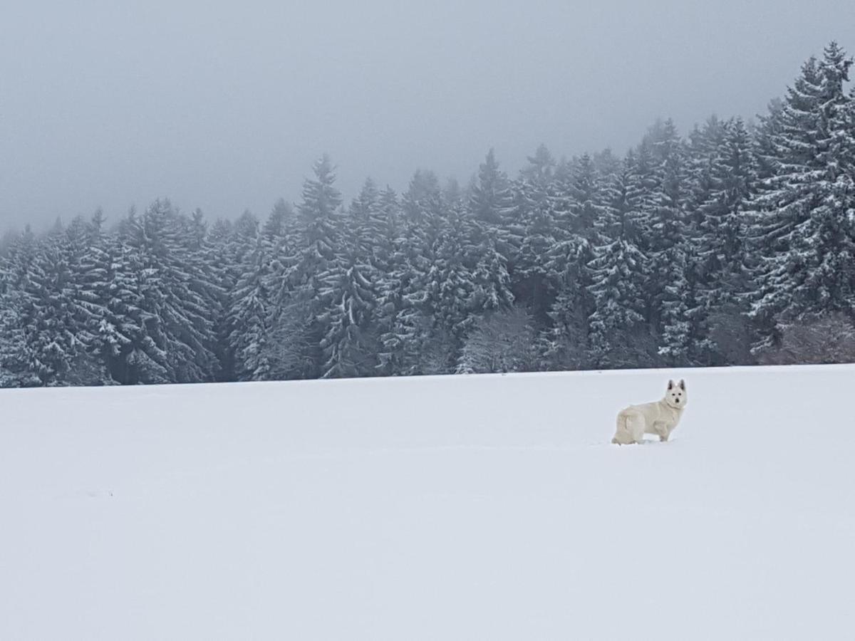 Ferienwohnung Oxana Im Naturpark Fichtelgebirge Schonwald  المظهر الخارجي الصورة