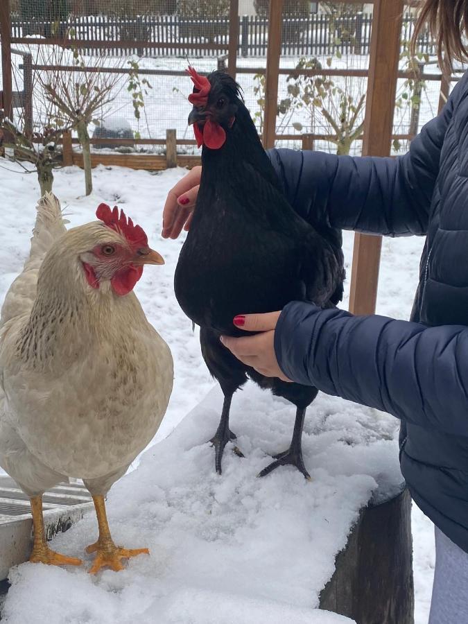 Ferienwohnung Oxana Im Naturpark Fichtelgebirge Schonwald  المظهر الخارجي الصورة